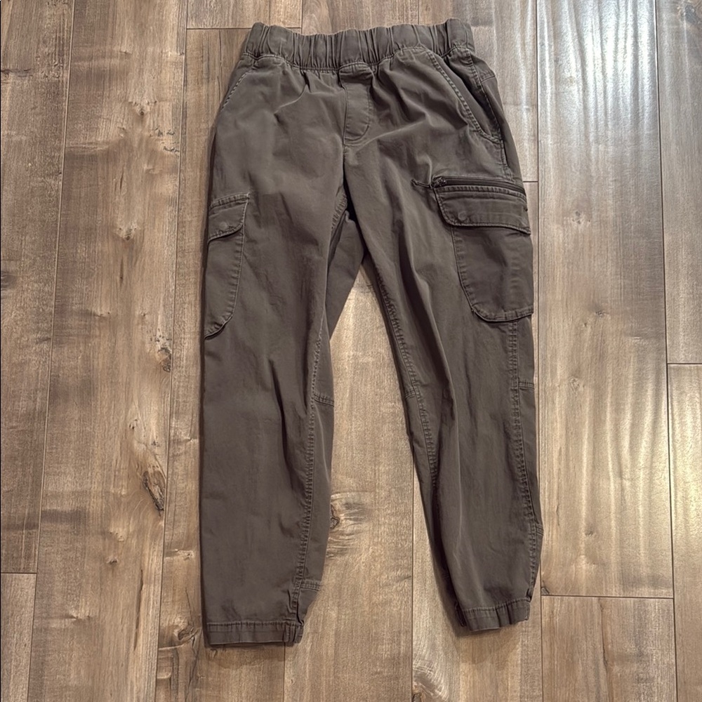 mountain hardwear pants